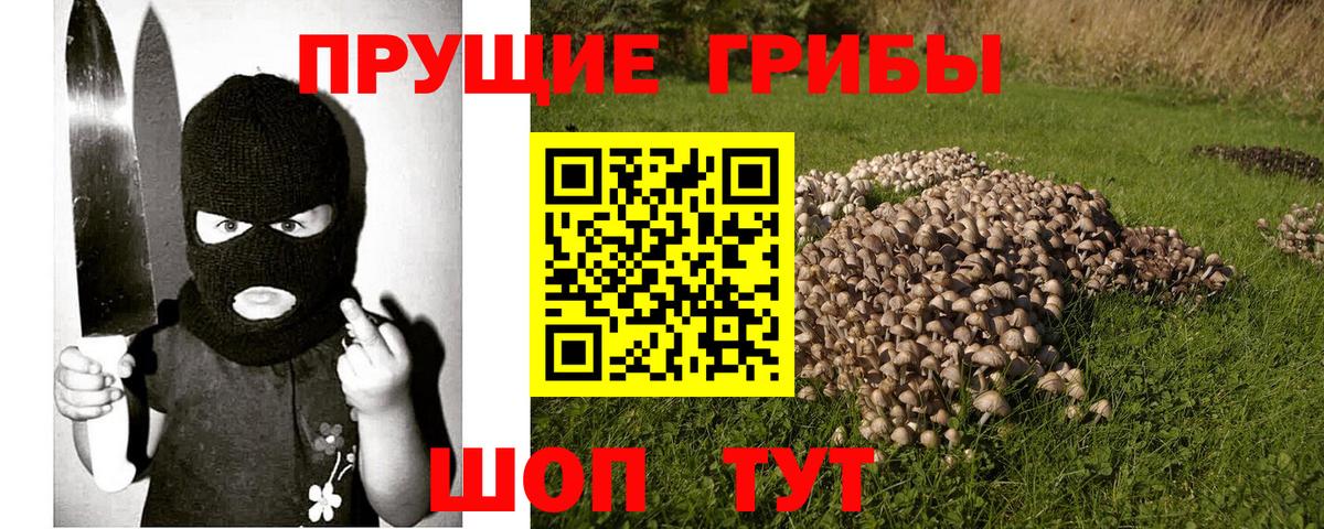 Псилоцибиновые грибы Magic Shrooms  Галлюциногенные грибы Psilocybine cubensis  Вход с VPN  Малоярославец 